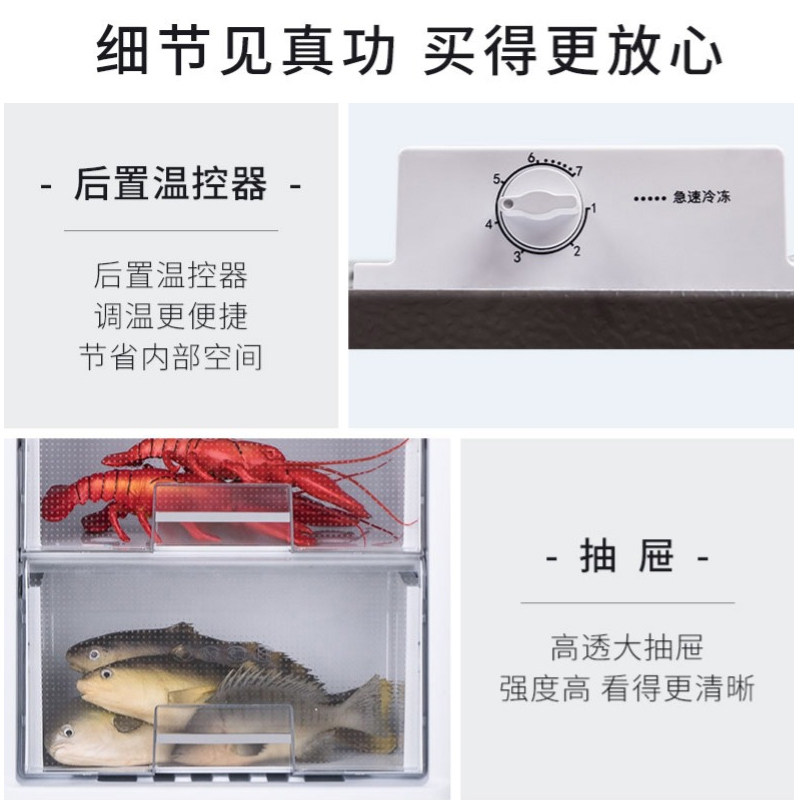 澳柯玛138升家用迷你立式节能冰柜 澳柯玛盛逸冷柜