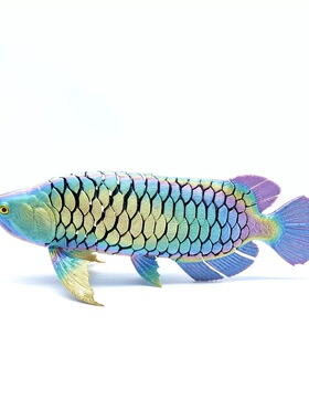 3D打印立体金龙鱼网红摆件礼品