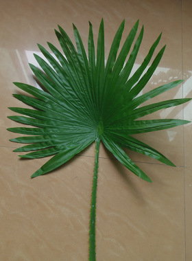 装饰浙江仿真植物仿真棕树叶