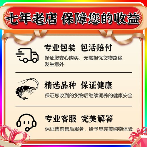 黑壳虾鲜活观赏虾淡水清洁除藻工具虾活体宠物樱花虾极火虾水晶虾 - 图1