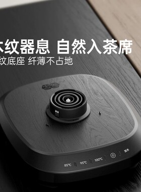吉谷恒温电热水壶全自动上水家用