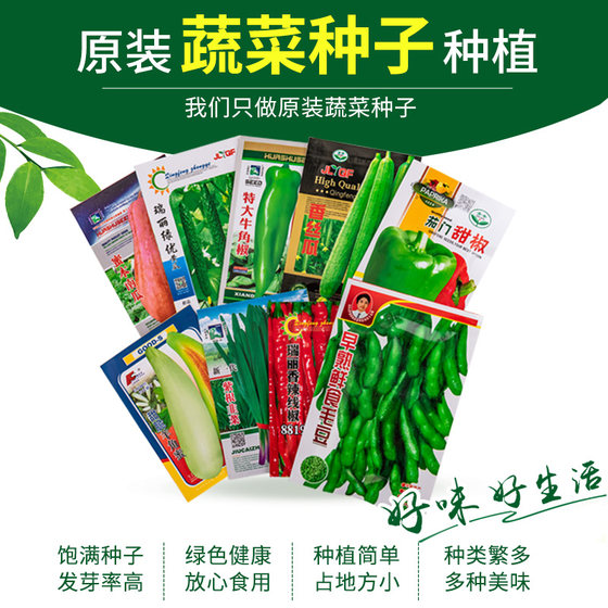 Original genuine vegetable seeds with high quality and high germination