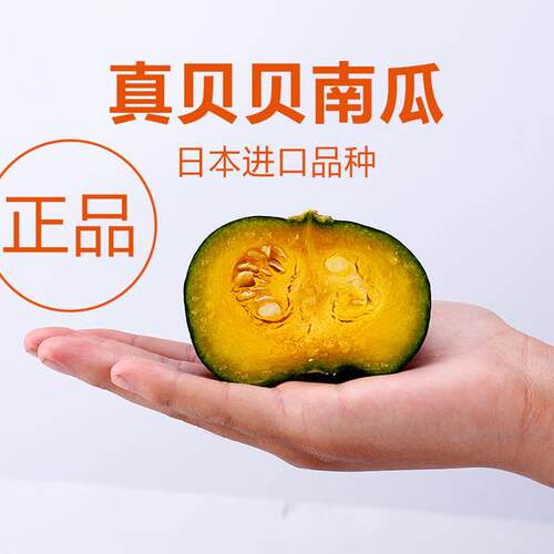 贝贝南瓜种子上海惠和一号日本进口品种迷你板栗香甜南瓜种籽种孑 - 图0