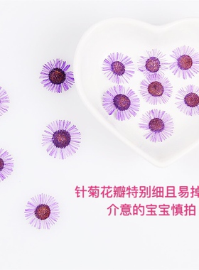 植物标本diy手工卡片干花材料