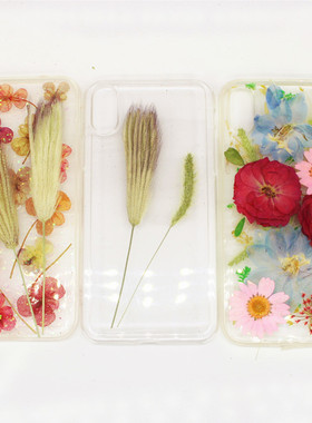 狗尾草马唐原植物干花压花标本DIY手工相框卡片包装盒拍照装饰花