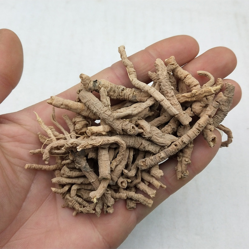 抽芯远志中药材 99%抽芯远志肉筒野货500克生炙远志粉益智仁伸筋_虎窝淘