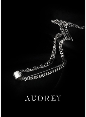 潮搭项链AUDREY姐姐钛钢双层女