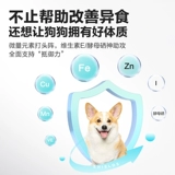 Weishi Dog Trace Element Pet Teddy Golden Hair Puppies с дерьмом и витаминами для инопланетных собак