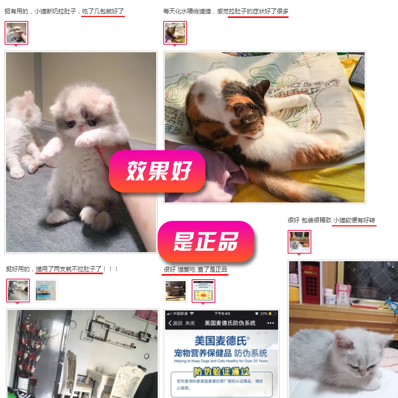 麦德氏猫用益生菌猫咪调理肠胃宝幼猫肠胃宝呕吐狗狗拉稀便秘软便 - 图2