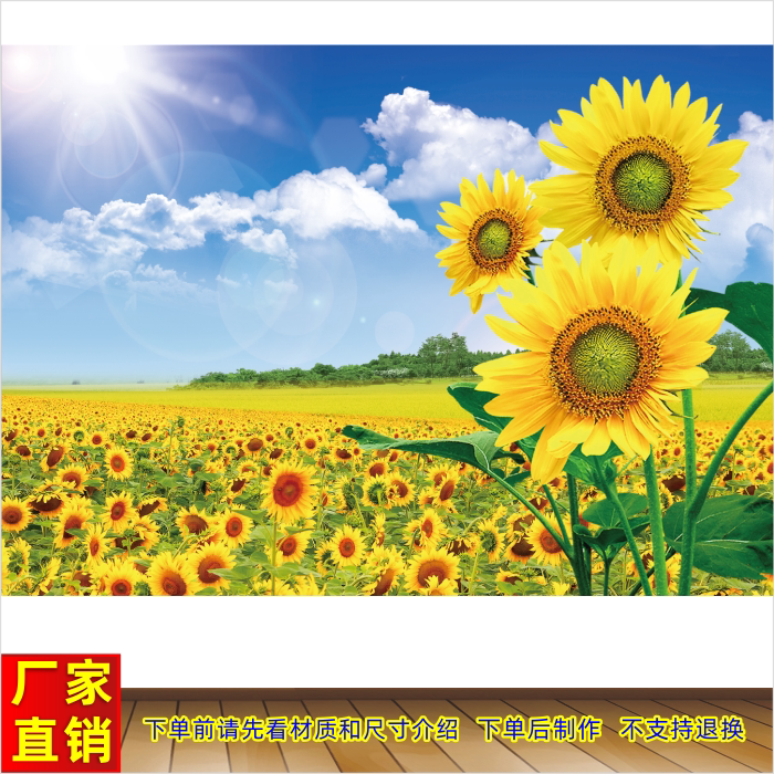 向日葵风景画墙贴画壁画客厅卧室装饰画太阳花阳光自然风景图