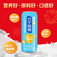 六个核桃智汇健核桃奶240ml*12罐
