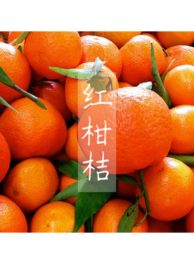 红柑橘单方精油柑桔肠胃养护神经
