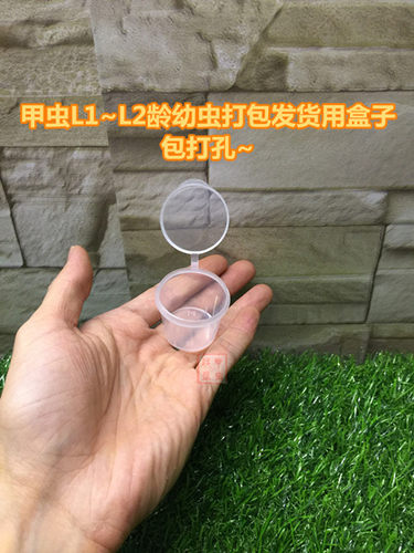 甲虫独角仙锹甲兜虫等幼虫饲养盒100ml布丁盒打包装发货用 PP材质 - 图3