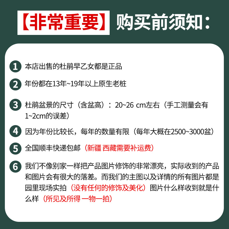 杜鹃早乙女盆栽原生老桩室内书房客厅办公室桌面造型盆景花卉绿植 - 图2