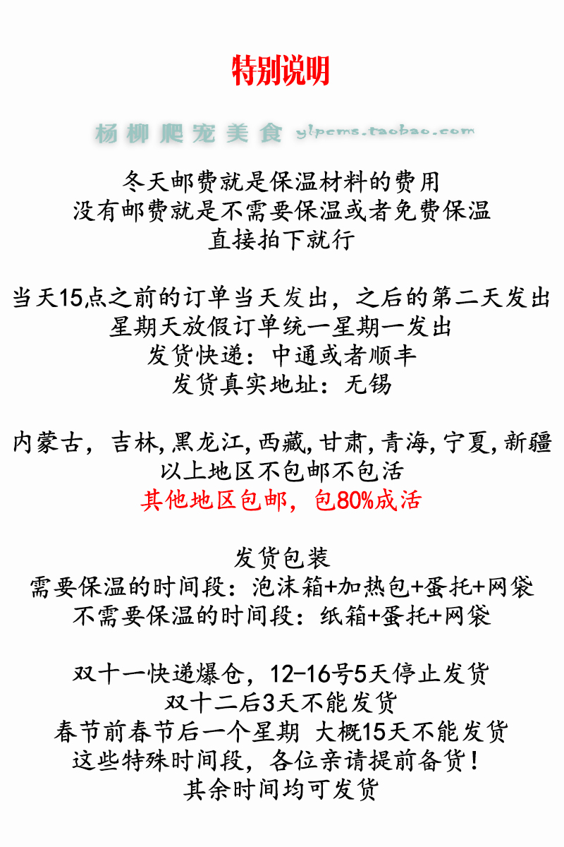 蛐蛐 蟋蟀活物 白蛐蛐 活体饲料 鱼鸟爬虫鸟食马蜂活食包邮包活 - 图1