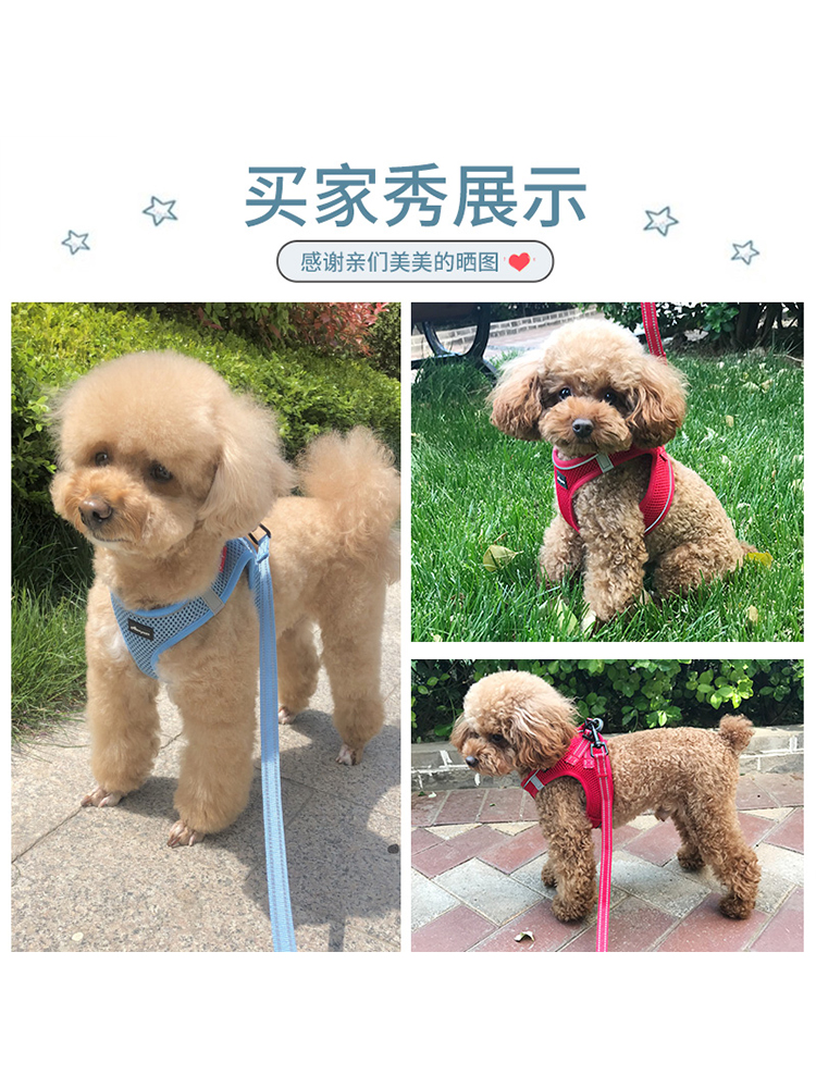 Mrshoes狗狗牵引绳小型犬狗绳子链子遛狗绳背心式泰迪宠物胸背带-图1