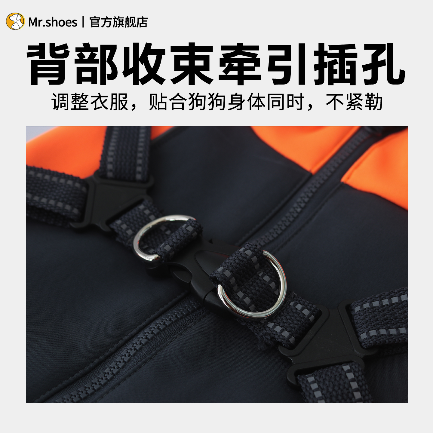 Mr.shoes狗狗衣服秋冬保暖中大型犬衣服金毛边牧柴犬宠物胸背衣服 - 图2