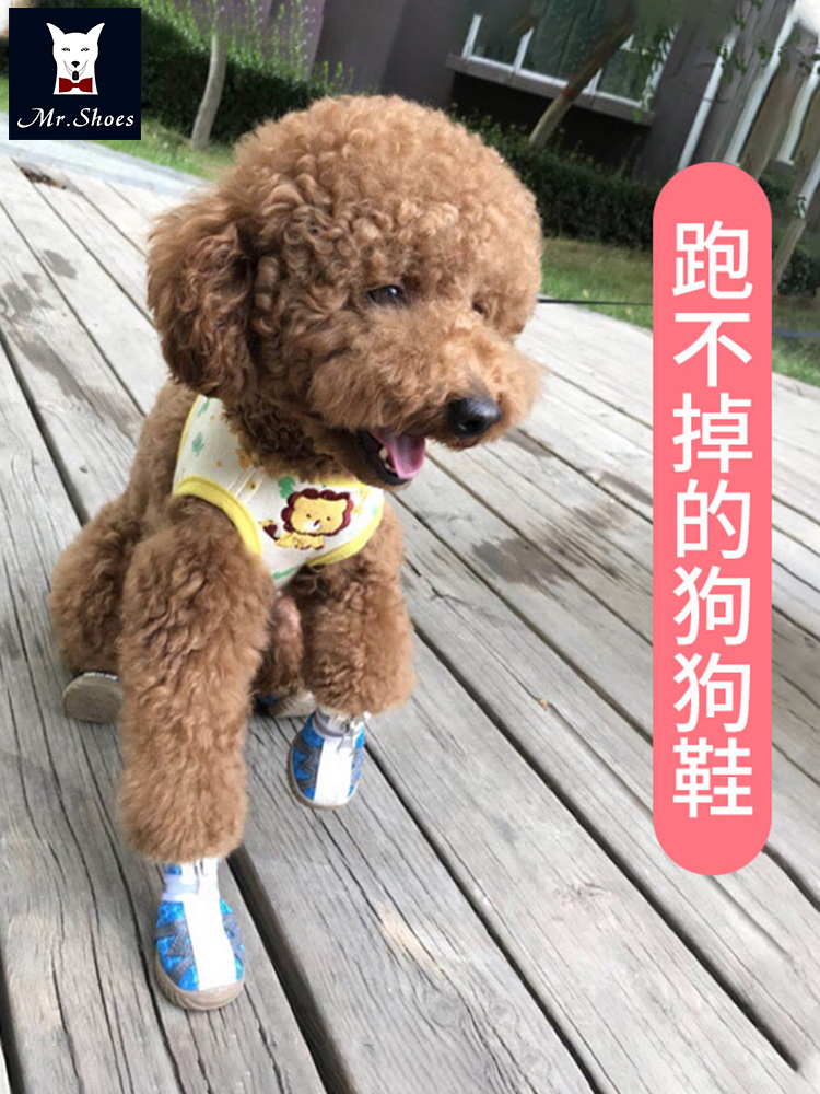 Mrshoes狗狗鞋子春夏透气比熊博美泰迪鞋子不掉脚小型犬宠物脚套-图2