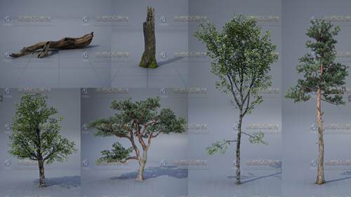 ue4 虚幻4 官方极力推荐的植物环境素材包 支持UE4.7或更高版本 - 图2