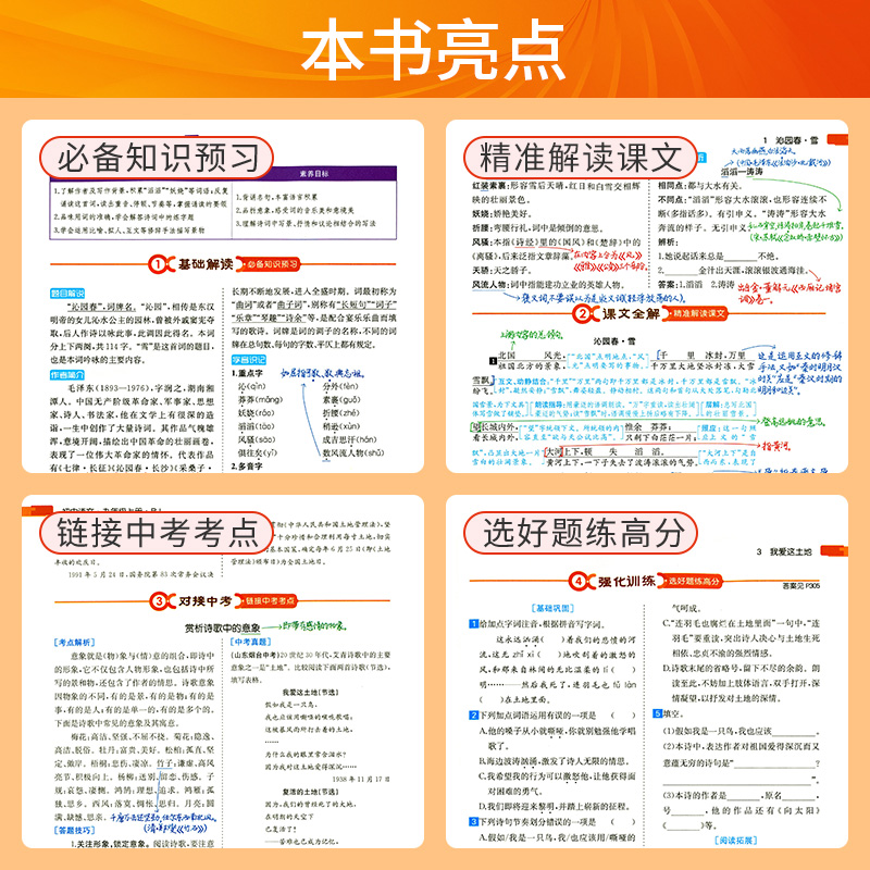 2024版涂教材初中七八九年级上下册语文数学英语物理化学政治历史地理人教版教材解读789年级上下册课本同步讲解初一二三一本涂书 - 图1