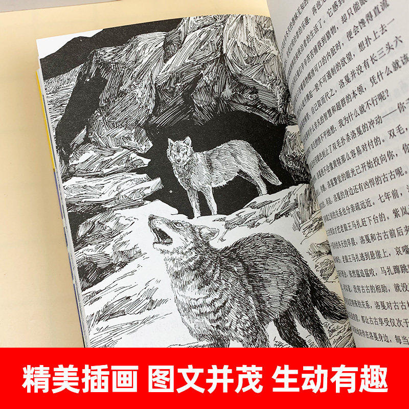 狼王梦沈石溪动物小说系列品藏书系儿童文学三四五六年级中小学生课外书浙江少年儿童出版社狼王梦书_虎窝淘