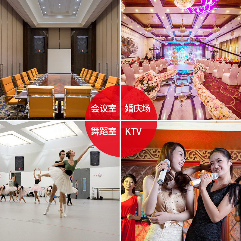 粤浪h10寸专业中小型会议室套装 粤浪KTV/卡拉OK音箱