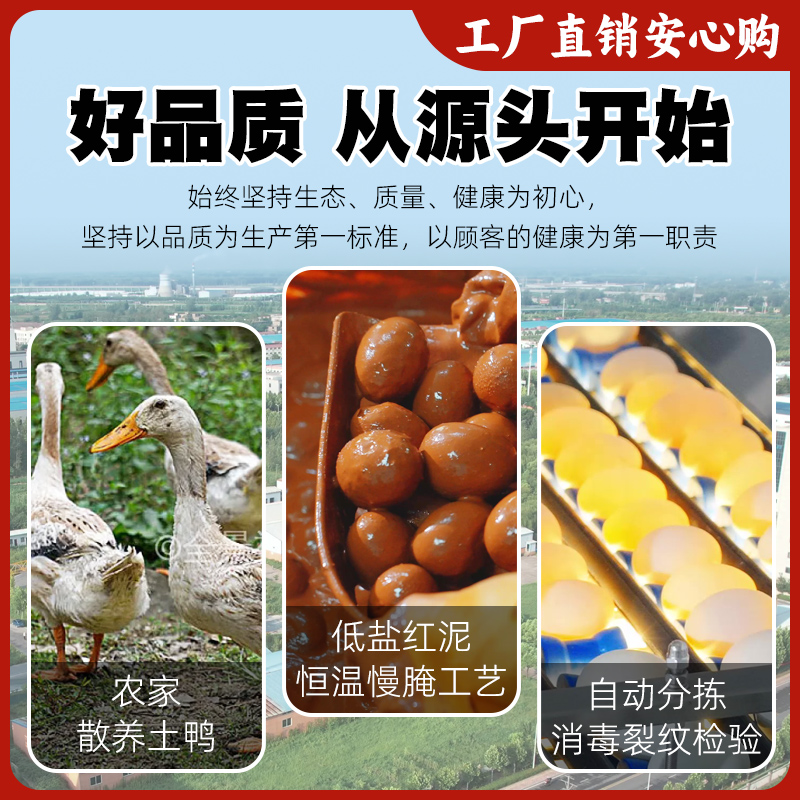 咸鸭蛋流油咸鸭蛋咸蛋黄盐蛋非海鸭蛋咸蛋黄盐蛋真空单枚60g/个