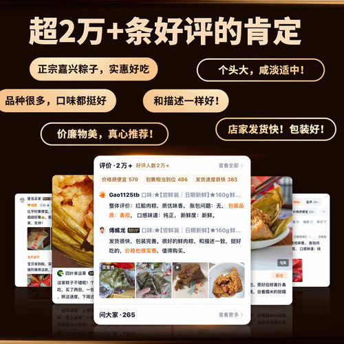 红船嘉兴粽子鲜肉粽肉粽端午节礼盒真空棕旗舰店特色儿童速食早餐 - 图0