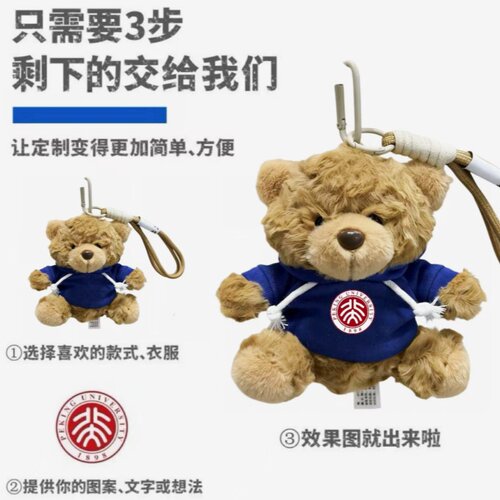 泰迪熊挂件小熊玩偶毛绒玩具包包钥匙扣定制学校企业活动礼品挂饰 - 图0