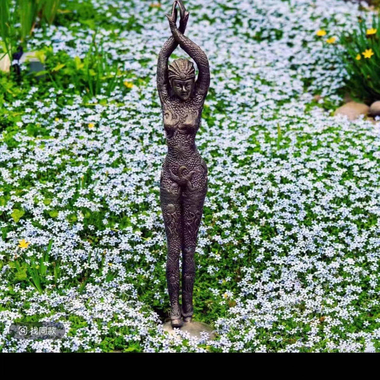 【新西兰半边莲】120口径盆 进口多年花开花草坪像洒落满地的繁星,淘宝优惠券,粉丝福利购,淘宝优惠卷