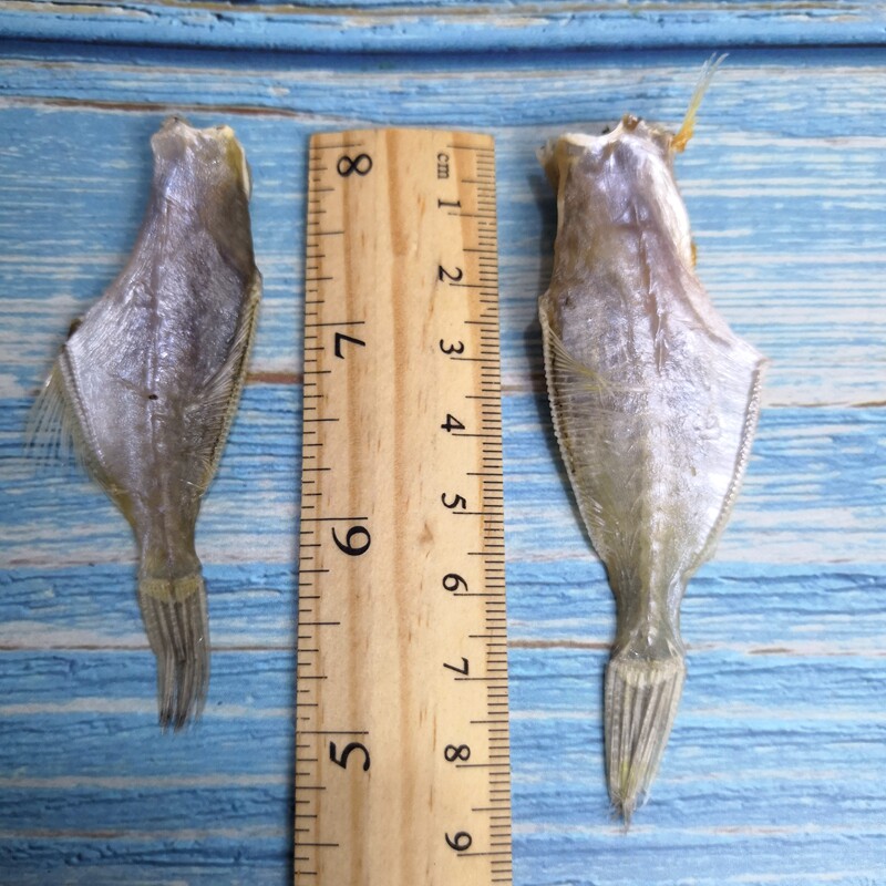 新鲜剥皮鱼干耗儿鱼扒皮鱼鱼干广东干货咸鱼鱼干干货特级迪仔鱼干_虎窝淘