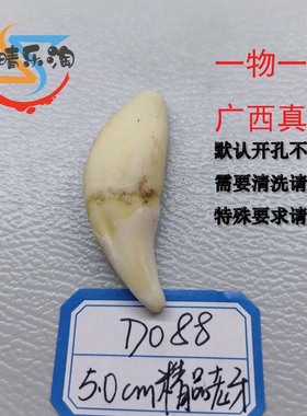 广西子晴男女真黑狗牙保真