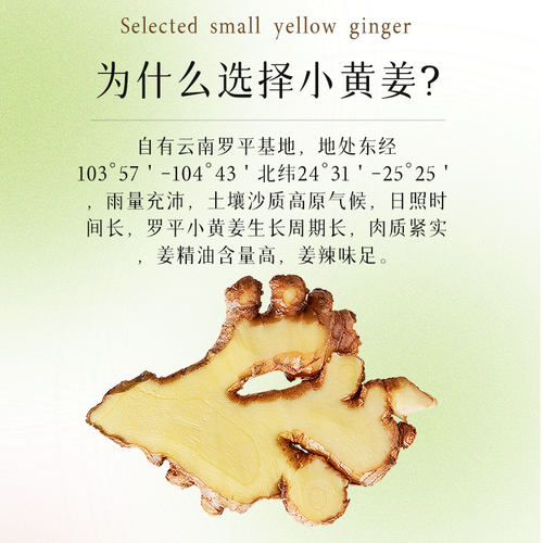 姜来无忧小黄姜牙膏清洁牙齿牙垢呵护口腔清新口气去牙渍云南正品 - 图3