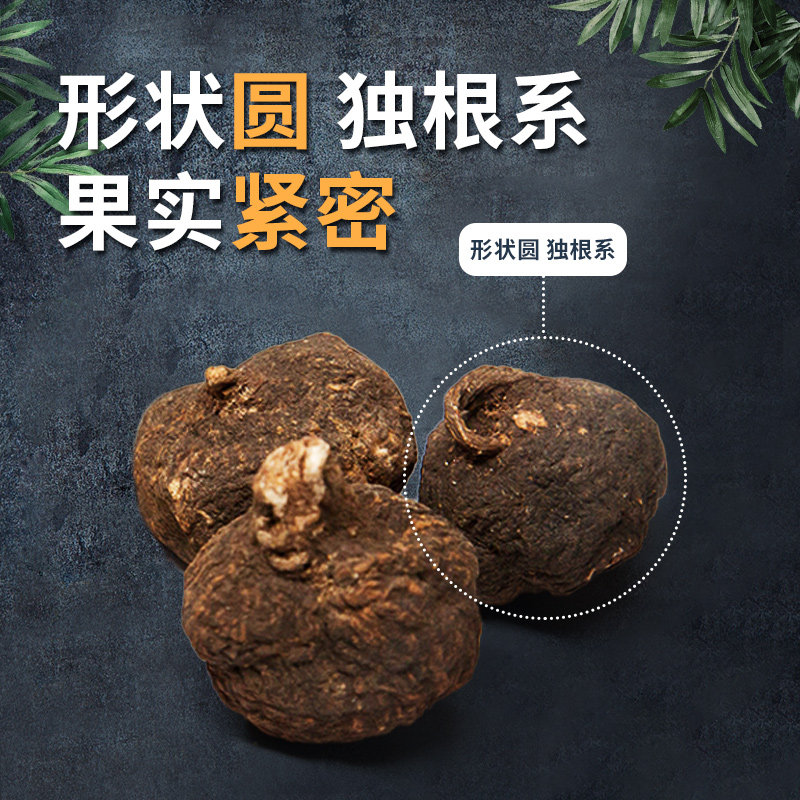 秘鲁黑玛卡片玛咖片干片药材男干果 deidou海外玛咖干