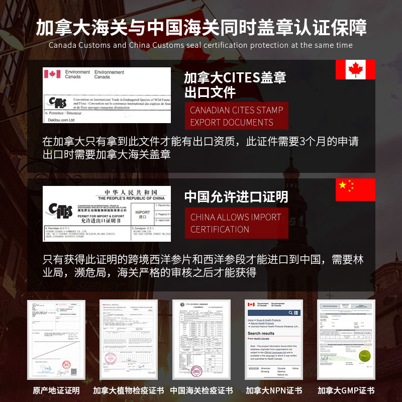deidou加拿大段整根条粒头花旗参 deidou海外西洋参