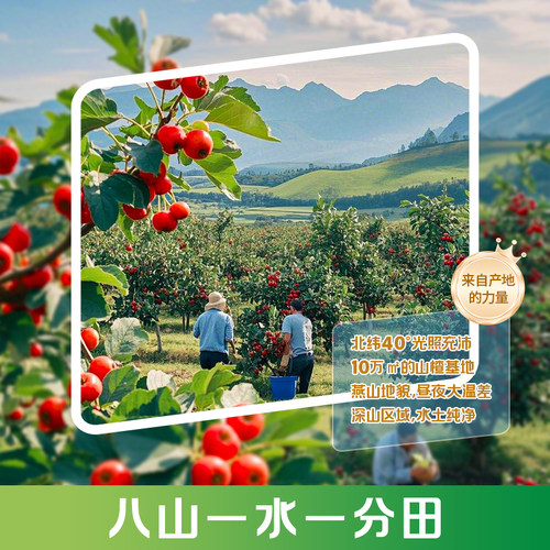 冠芳山楂树下官方旗舰店大瓶山楂汁饮料整箱1.25L婚宴聚会饮品 - 图3