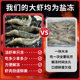 Guolian Aquatic Products Saudi prawns frozen salt-frozen fresh quick-frozen seafood extra large white shrimp sea shrimp South American white shrimp