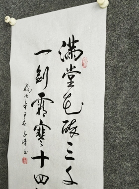 书法字画定制手写真迹毛笔字满堂花醉三千客一剑霜寒十四洲