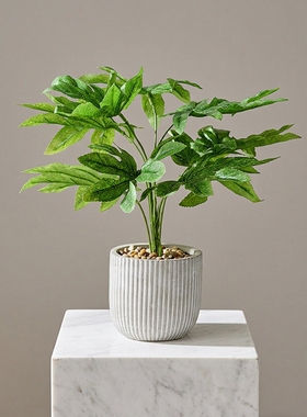 简约北欧仿真绿植盆栽桌面摆件