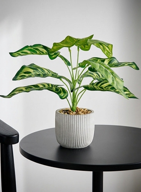 简约现代仿真绿植盆栽室内摆件
