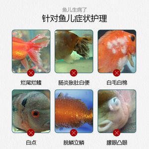 金利佳水族观赏鱼热带鱼鱼药水白点病鱼缸杀菌水锦鲤药鱼缸药黄粉