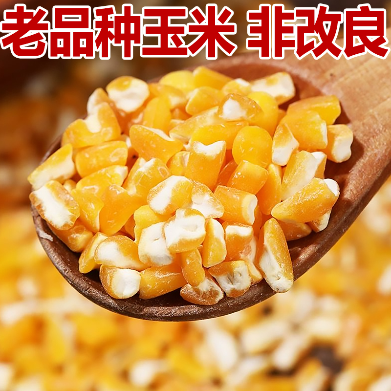 玉米糁大碴子新黄玉米苞谷粘碴子大粒玉米碴子玉米碎干甜玉米粒粥 - 图2