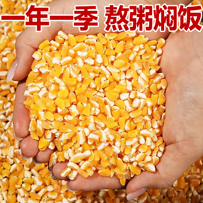 玉米糁大碴子新黄玉米苞谷粘碴子大粒玉米碴子玉米碎干甜玉米粒粥 - 图3