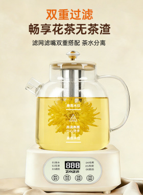 煮茶煮红枣桂圆枸杞梨水养生壶水果茶壶养生壶煮银耳的养身营养炖