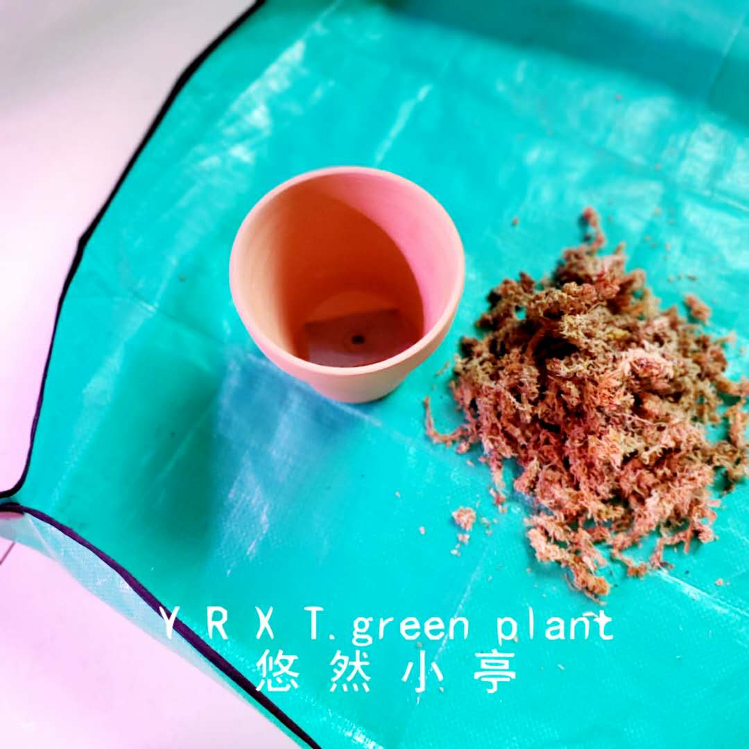 植物园艺地垫PE防水加厚大小号家庭种植操作翻盆换盆拌土换土花垫-图1