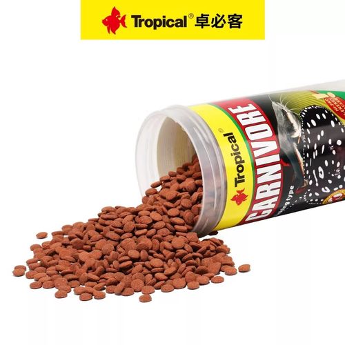 Tropical卓必客异形饲料清道夫鼠鱼胡子魟鱼清道肉食素食底栖鱼食 - 图2