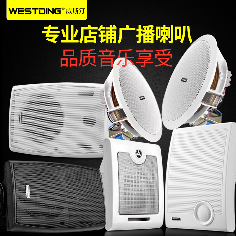 威斯汀吸頂喇叭天花吊頂音響壁掛嵌入式校園公共廣播喇叭店鋪餐廳超市掛式音箱戶外防水音柱背景音樂系統套裝
