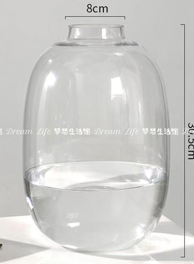 千层金专用透明玻璃花瓶水培
