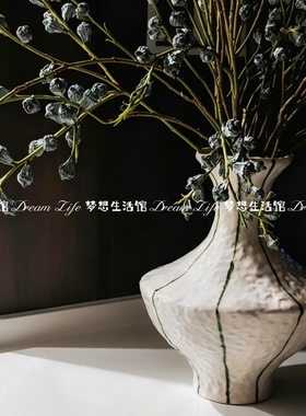 水培尤加利果花瓶简约陶瓷花器