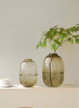 雪柳花瓶花器高级感简约透明玻璃瓶家用客厅水培插花装饰摆件器皿